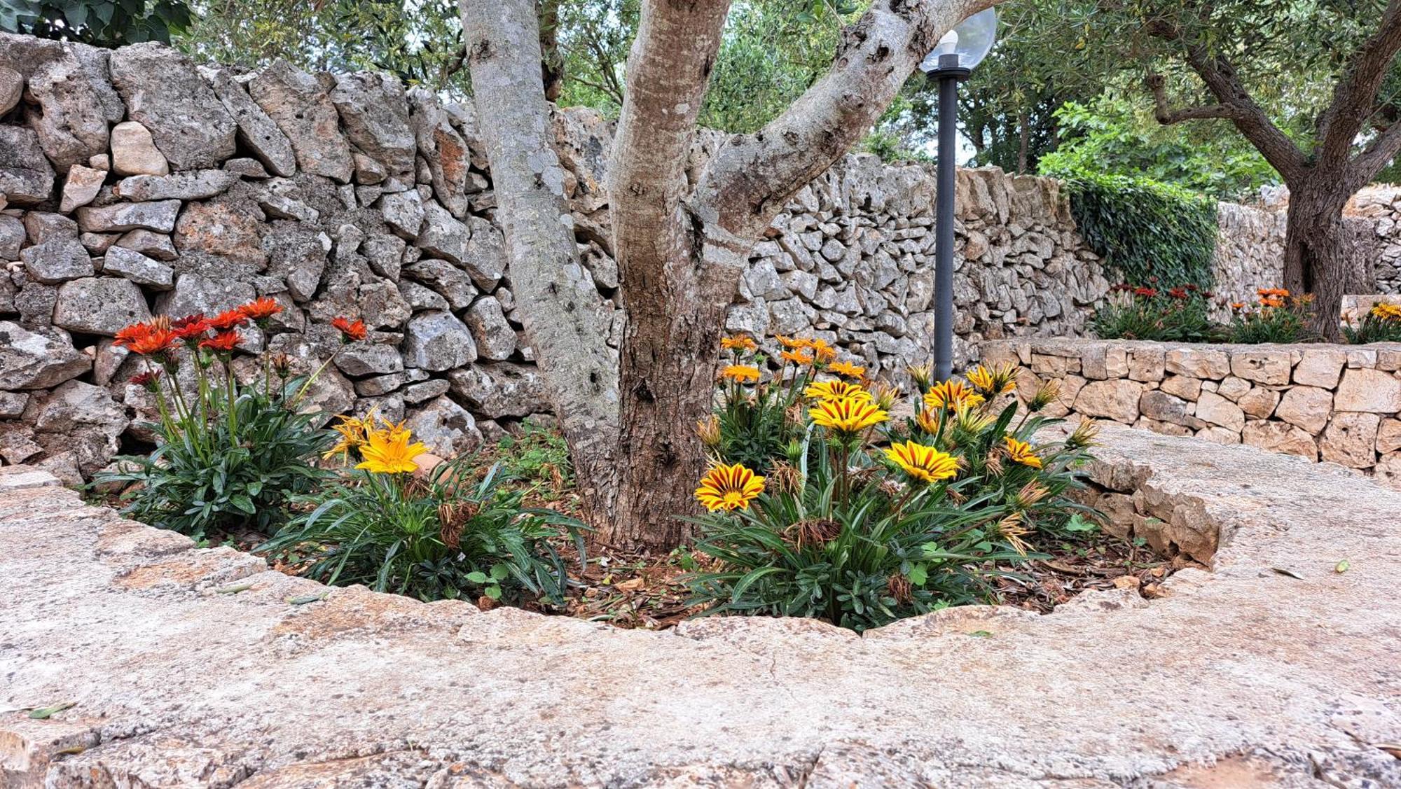 Casolare Di Puglia Villa Noci Exterior foto